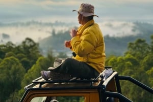 Bali: Tour particular de jipe ao nascer do sol e termas Tudo IncluÃdo