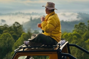 Bali : Private Sunrise Jeep Tour and Hot Spring All Include