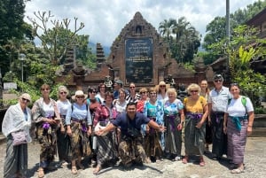 Bali: Tour privato consapevole con autista inglese