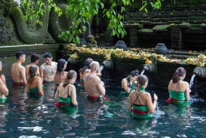 Bali Private Tour Customize Best of Bali Tour