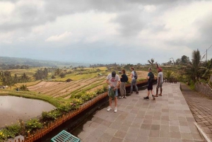 Bali: Private Tour of Jatiluwih, Ulun Danu, and Tanah Lot