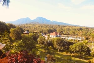 Bali: Privétour naar Lempuyang Tempel, Tirta Gangga en ...