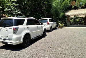 Bali: Private Transfer Between Ubud and Canggu