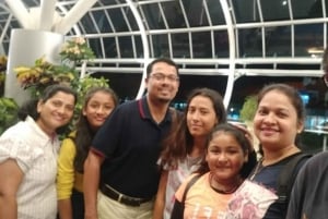 Bali: Privat transport til eller fra Ubud