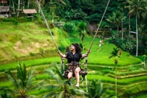 Bali: Private Ubud Highlights Tour mit individueller Tour