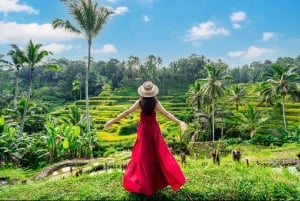 Bali: Private Ubud Highlights Tour mit individueller Tour