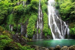 Bali: Private Ubud Highlights Tour mit individueller Tour