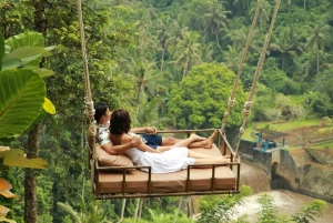 Bali: Private Ubud Highlights Tour mit individueller Tour