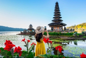 Bali: Private Ubud Highlights Tour mit individueller Tour