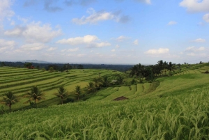 Bali: Private UNESCO World Heritage Sites Tour