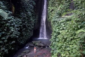 Bali: Tour particular às cascatas com almoço e serviço de busca no hotel