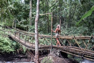 Bali: Tour particular às cascatas com almoço e serviço de busca no hotel