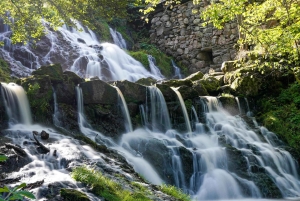 Bali: Yksityinen päiväkierros vesiputouksille ja riisiterasseille