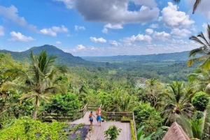 Bali: Yksityinen päiväkierros vesiputouksille ja riisiterasseille