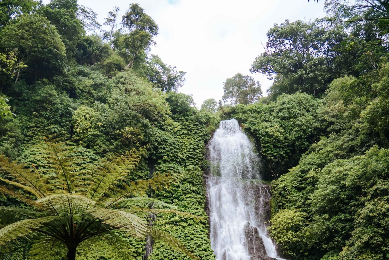 Bali: Private Waterfalls Tour with Lunch & Hotel Pickup