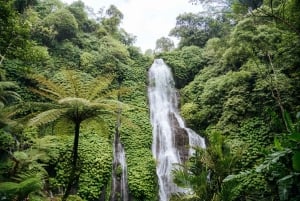 Bali: Private Waterfalls Tour with Lunch & Hotel Pickup