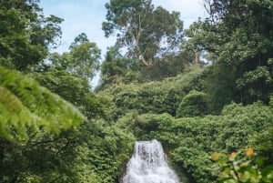 Bali: Private Waterfalls Tour with Lunch & Hotel Pickup