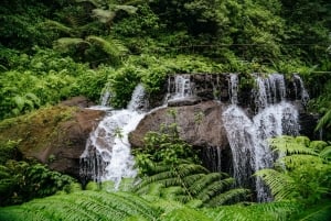 Bali: Private Waterfalls Tour with Lunch & Hotel Pickup