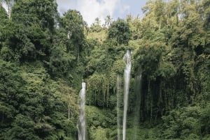 Bali: Private Waterfalls Tour with Lunch & Hotel Pickup