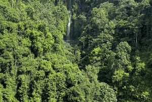 Bali: Private Waterfalls Tour with Lunch & Hotel Pickup