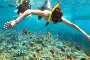 بالي: غطس باليخت الخاص في مانتا بوينت وموقعين بينيدا