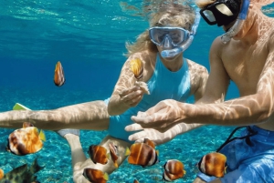 بالي: غطس باليخت الخاص في مانتا بوينت وموقعين بينيدا