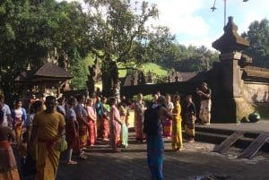Bali: Reinigung im Tirta Empul-Tempel