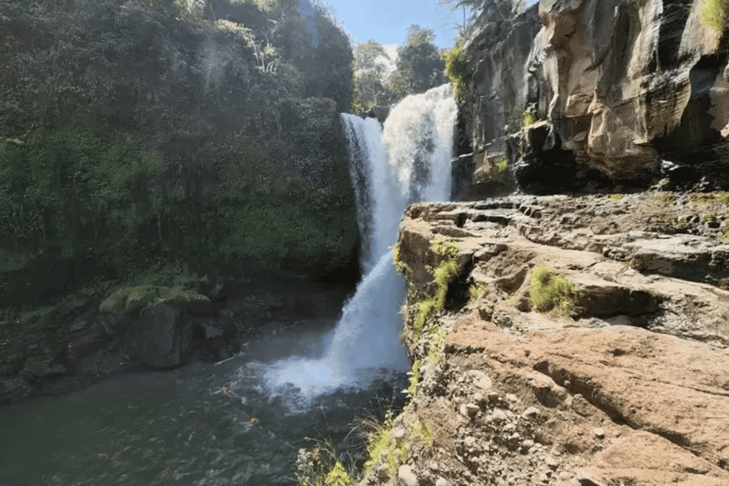 Bali: Przygoda na quadach z wycieczką do małpiego lasu w Ubud