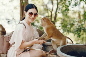 Bali: Przygoda na quadach z wycieczką do małpiego lasu w Ubud