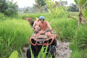 Bali: Przygoda na quadach z wycieczką do małpiego lasu w Ubud
