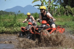 Bali: Przygoda na quadach z wycieczką do małpiego lasu w Ubud