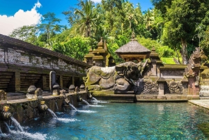 Bali: Przygoda na quadach z wycieczką do małpiego lasu w Ubud