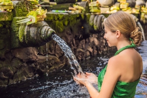 Bali: Przygoda na quadach z wycieczką do małpiego lasu w Ubud