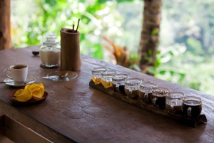 Bali: Przygoda na quadach z wycieczką do małpiego lasu w Ubud