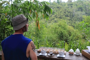 Bali: Przygoda na quadach z wycieczką do małpiego lasu w Ubud