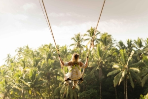 Bali: Przygoda na quadach z wycieczką do małpiego lasu w Ubud
