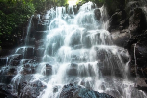 Bali: Przygoda na quadach z wycieczką do małpiego lasu w Ubud