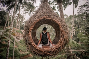 Bali: Przygoda na quadach z wycieczką do małpiego lasu w Ubud