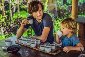 Bali: Przygoda na quadach z wycieczką do małpiego lasu w Ubud