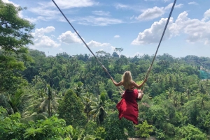Bali: Przygoda na quadach z wycieczką do małpiego lasu w Ubud