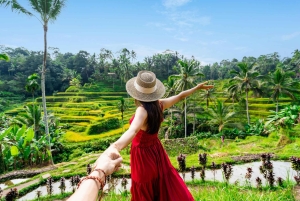 Bali: Przygoda na quadach z wycieczką do małpiego lasu w Ubud