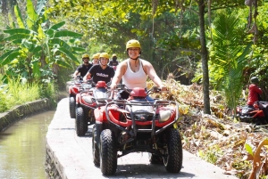 Bali Quad BIKE :ATV Ride in Ubud through Tunnel, Rice Fields