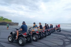 Bali: Quad Bike Ride Beach Experience with Lunch