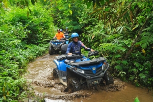 Bali Quad Discovery Tour