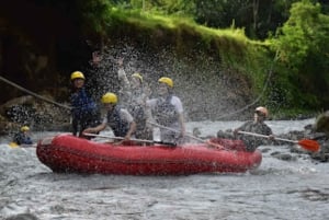 Rafting en Bali: Rafting con tirolina hasta el río