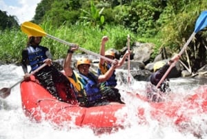 Bali Rafting: River Rafting with Zipline Down to the River