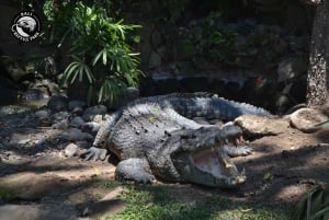 Bali Reptile Park 1-dniowy bilet wstępu