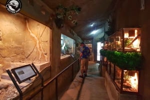 Bali Reptile Park 1-Day Admission Ticket
