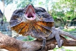 Bali Reptile Park 1-Day Admission Ticket