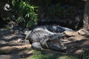Bali Reptile Park 1-Day Admission Ticket
